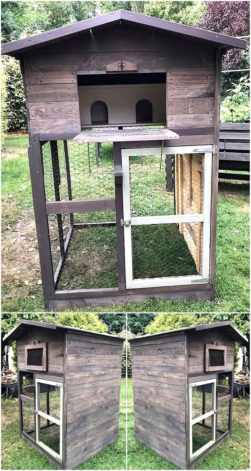 wood pallets cage for pigeons