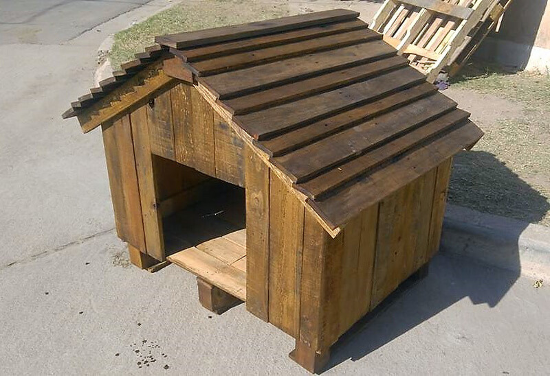 build a dog house from pallets